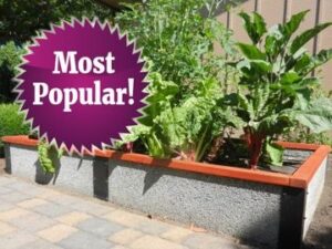 Popular 8 foot raised garden bed