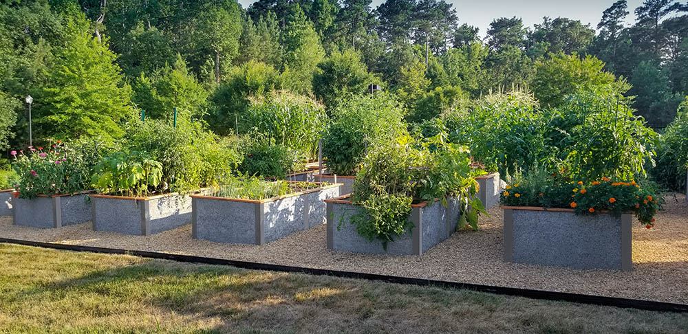 Planter box community garden