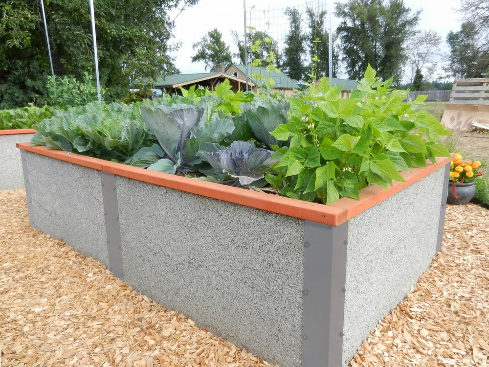Our 4 X8 X2 Tall Raised Garden Bed Kit By Durable Greenbed - Raised Vegetable Garden Beds Kits