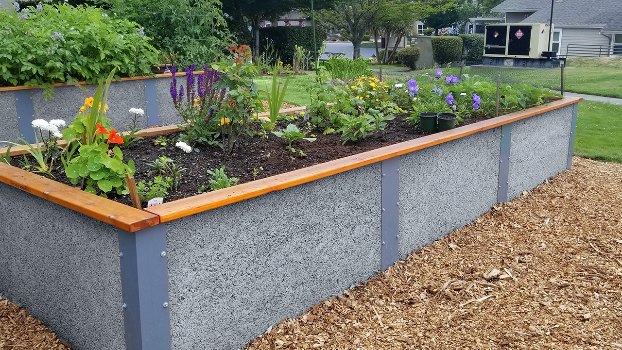 Image of Low garden bed made of concrete