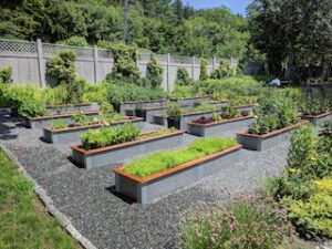 Camas de jardín elevadas ecológicas en un patio de hormigón