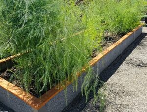 Smokey gray durable greenbed raised garden bed 4x16x1