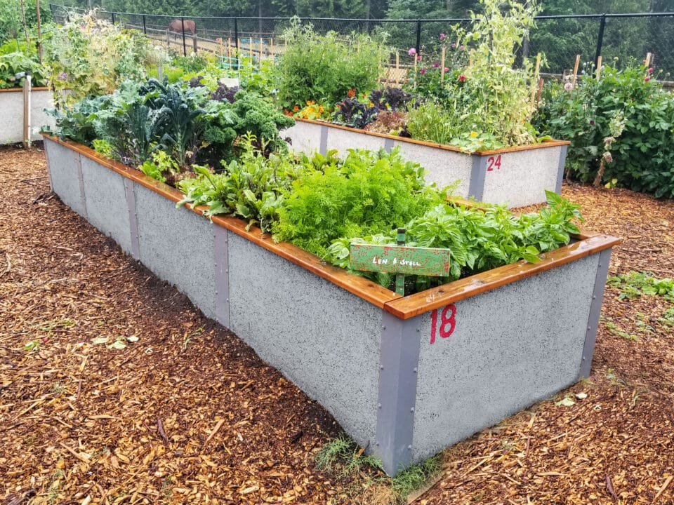 Raised Garden Bed Kits | Durable GreenBed