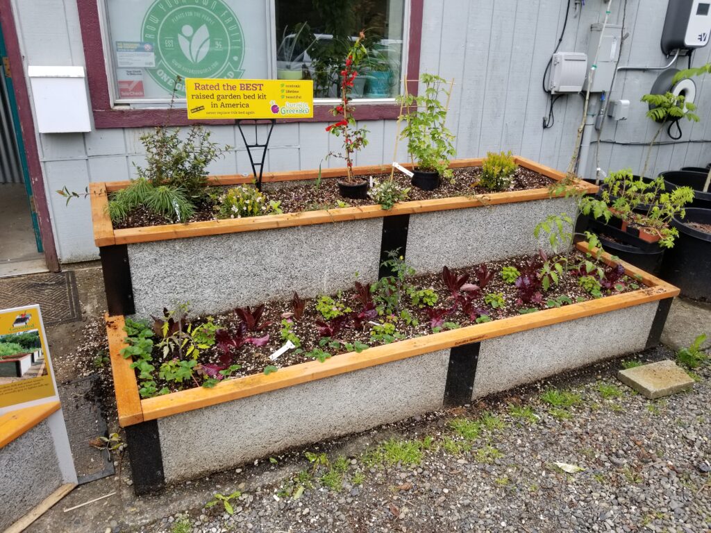 All About Raised-Bed Gardens - This Old House