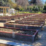 community garden with a lot of Durable GreenBed garden beds