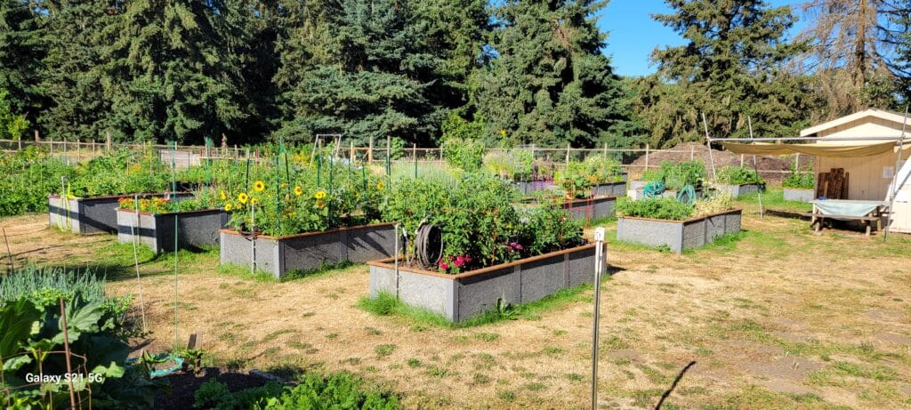 Eugene School Garden