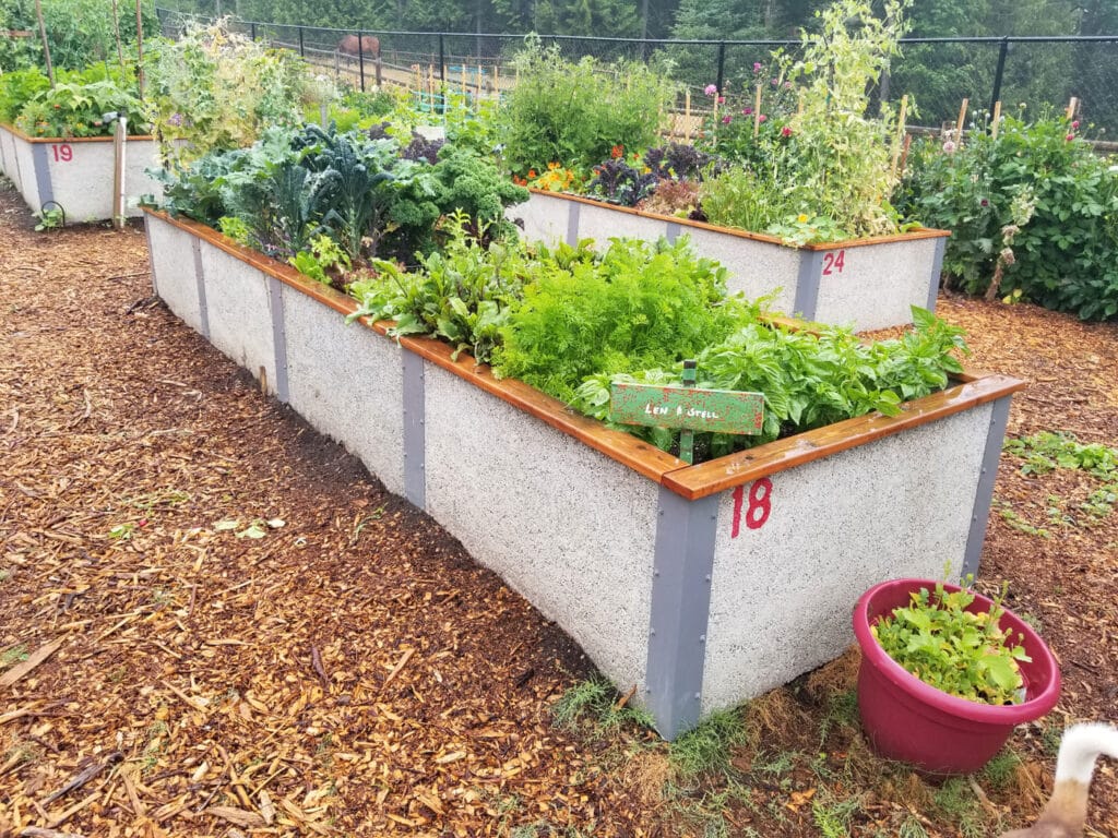 4x16x2 GreenBed