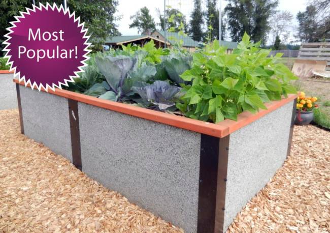 Our 4 x8 x2 Tall Raised Garden  Bed Kit  by Durable GreenBed