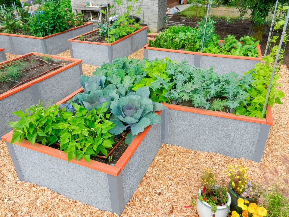 L-Shaped Garden Bed Kits