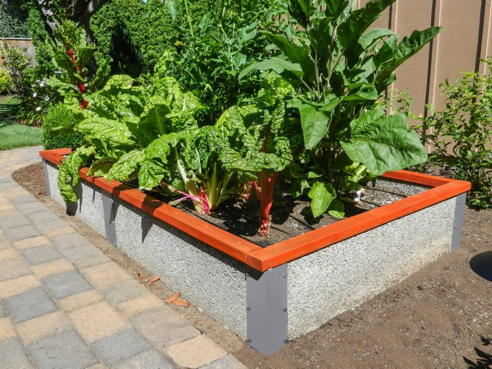 One Foot Garden Bed Kits