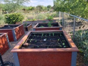 Raised Vegetable Garden Plots for community garden