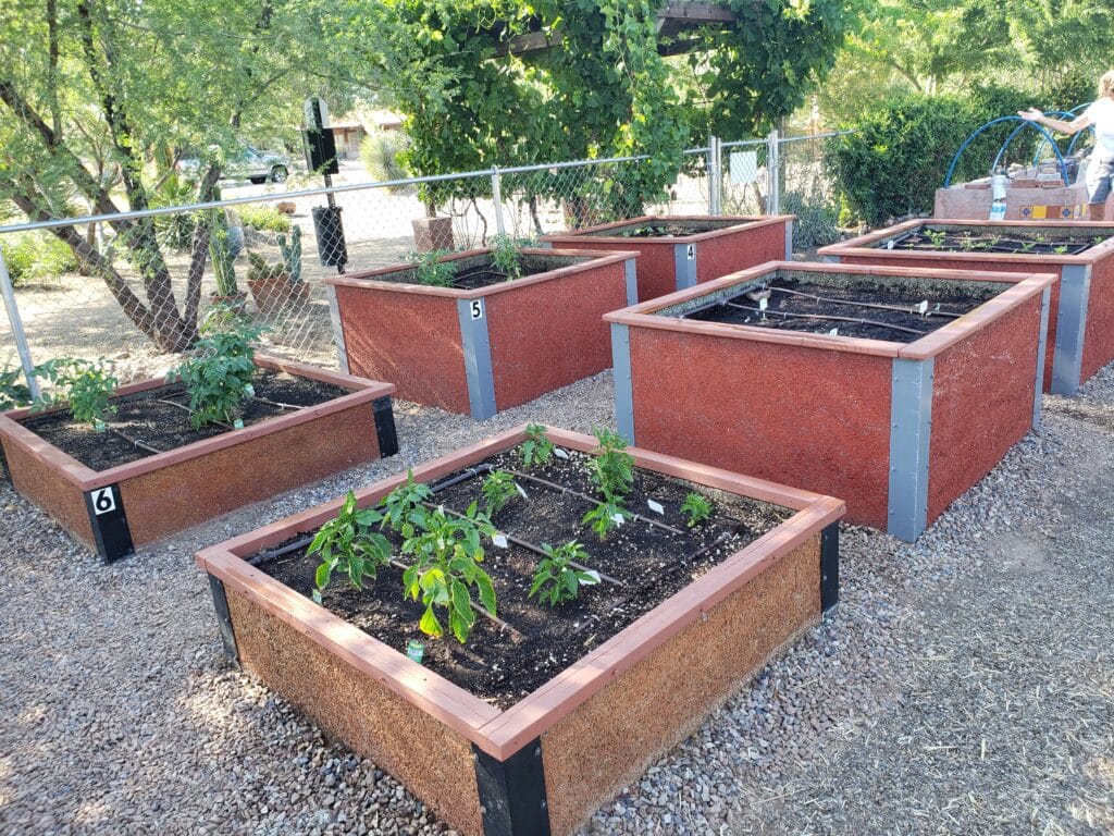 Cama de jardín comunitario de Arizona