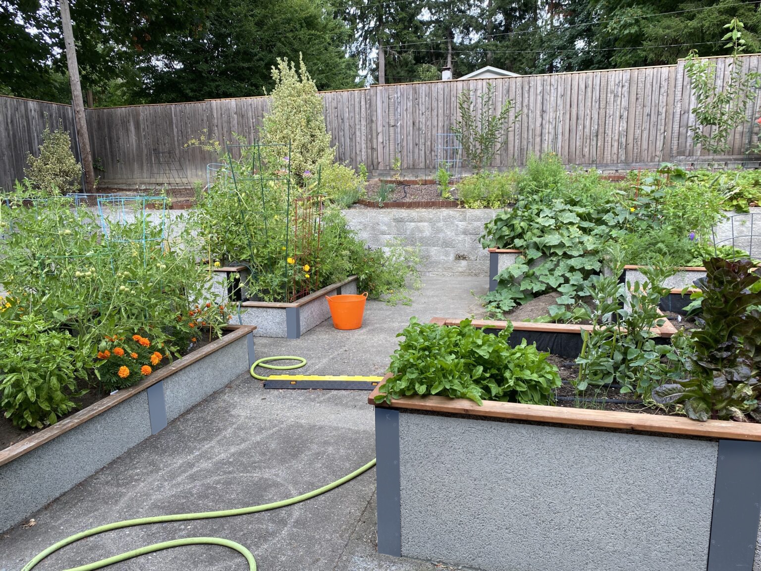 Un jardín comunitario sobre hormigón con un color gris humo con camas de jardín elevadas GreenBed duraderas