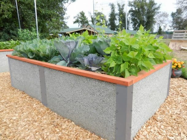 2 foot deep raised garden bed kit