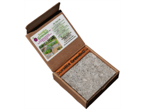 durable greenbed raised garden bed sample kit