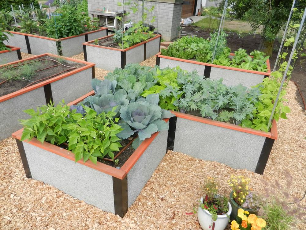 Raised Garden Bed Kits For Durable Greenbed - Raised Vegetable Garden Beds Kits