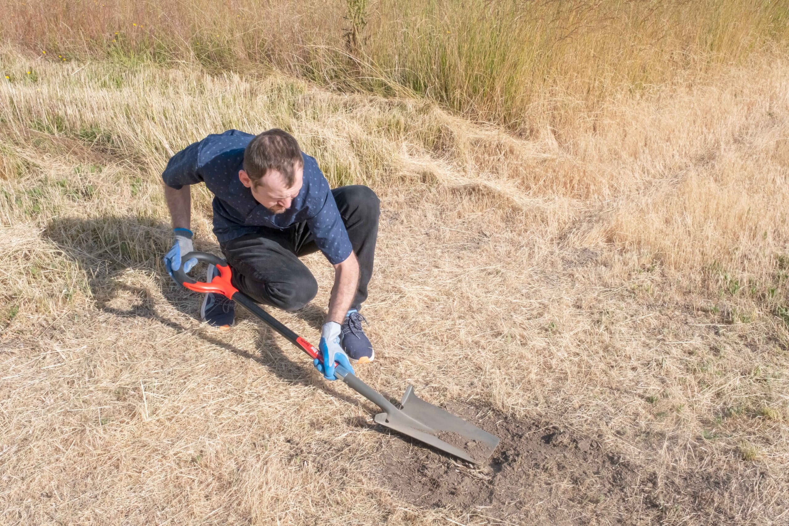 using shovel to dig out uneven spots on the ground