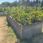 Durable Greenbed Flower Garden