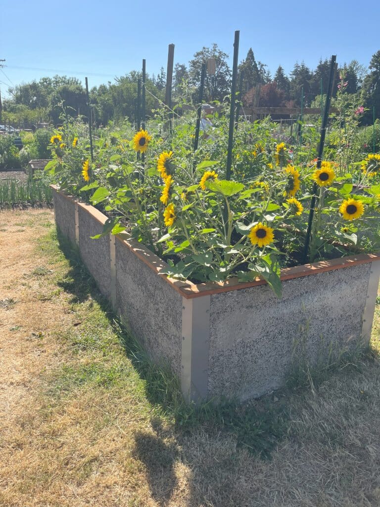 Durable Greenbed Flower Garden