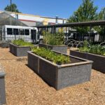 community garden with a lot of Durable GreenBed garden beds