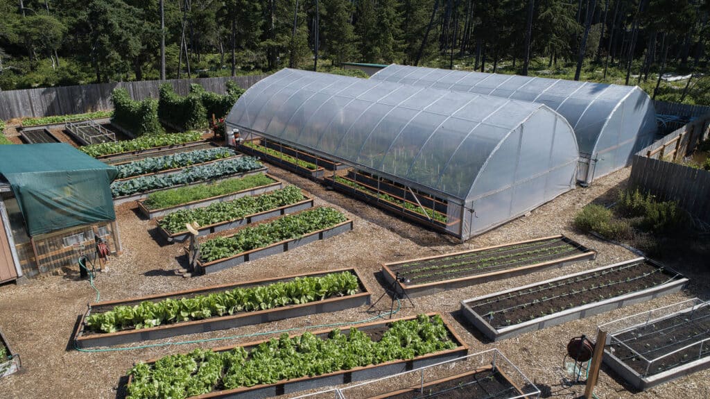 Overhead view of many Durable GreenBed garden beds full of plants