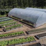 Overhead view of many Durable GreenBed garden beds full of plants