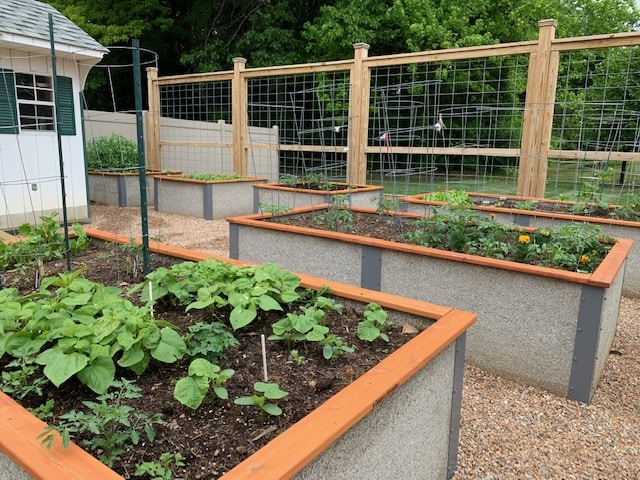 Lits de jardin surélevés pour personnes âgées - GreenBed durable est  accessible