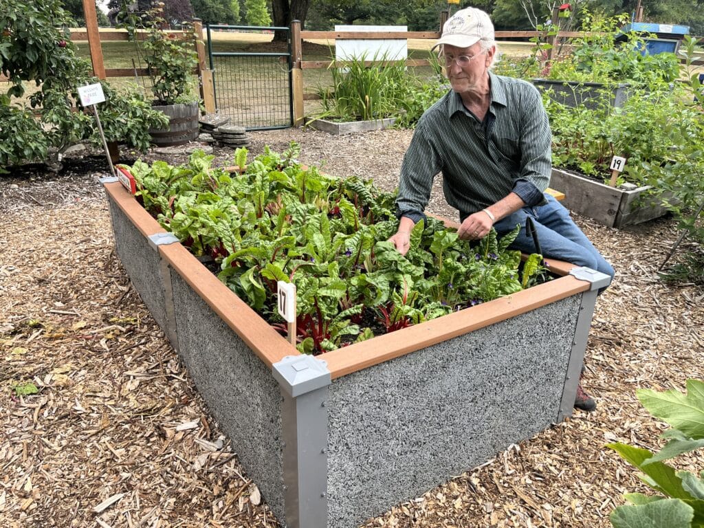 man sitting on a 4x8x2 Durable GreenBed Garden Bed gardening