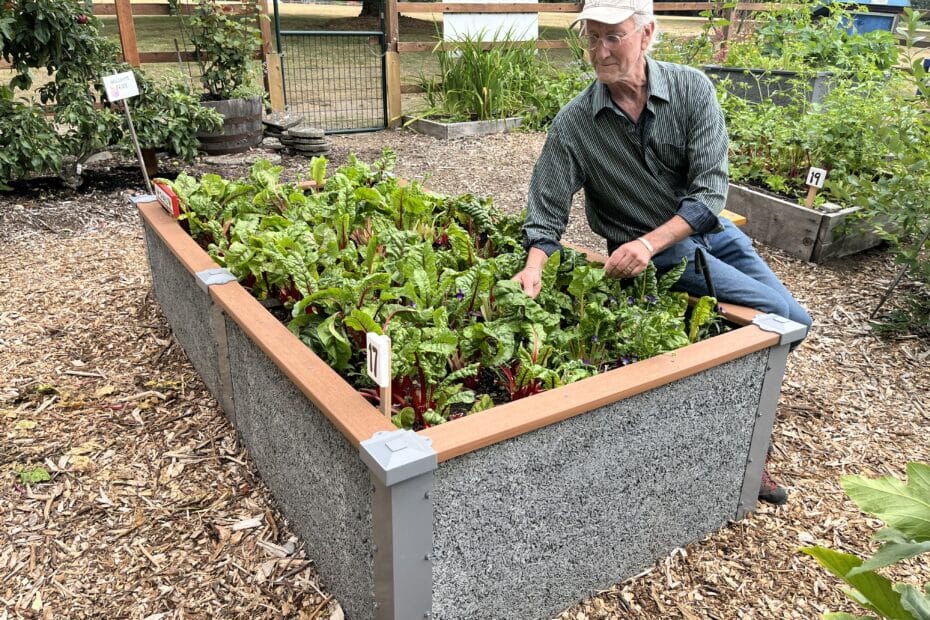 man sitting on a 4x8x2 Durable GreenBed Garden Bed gardening