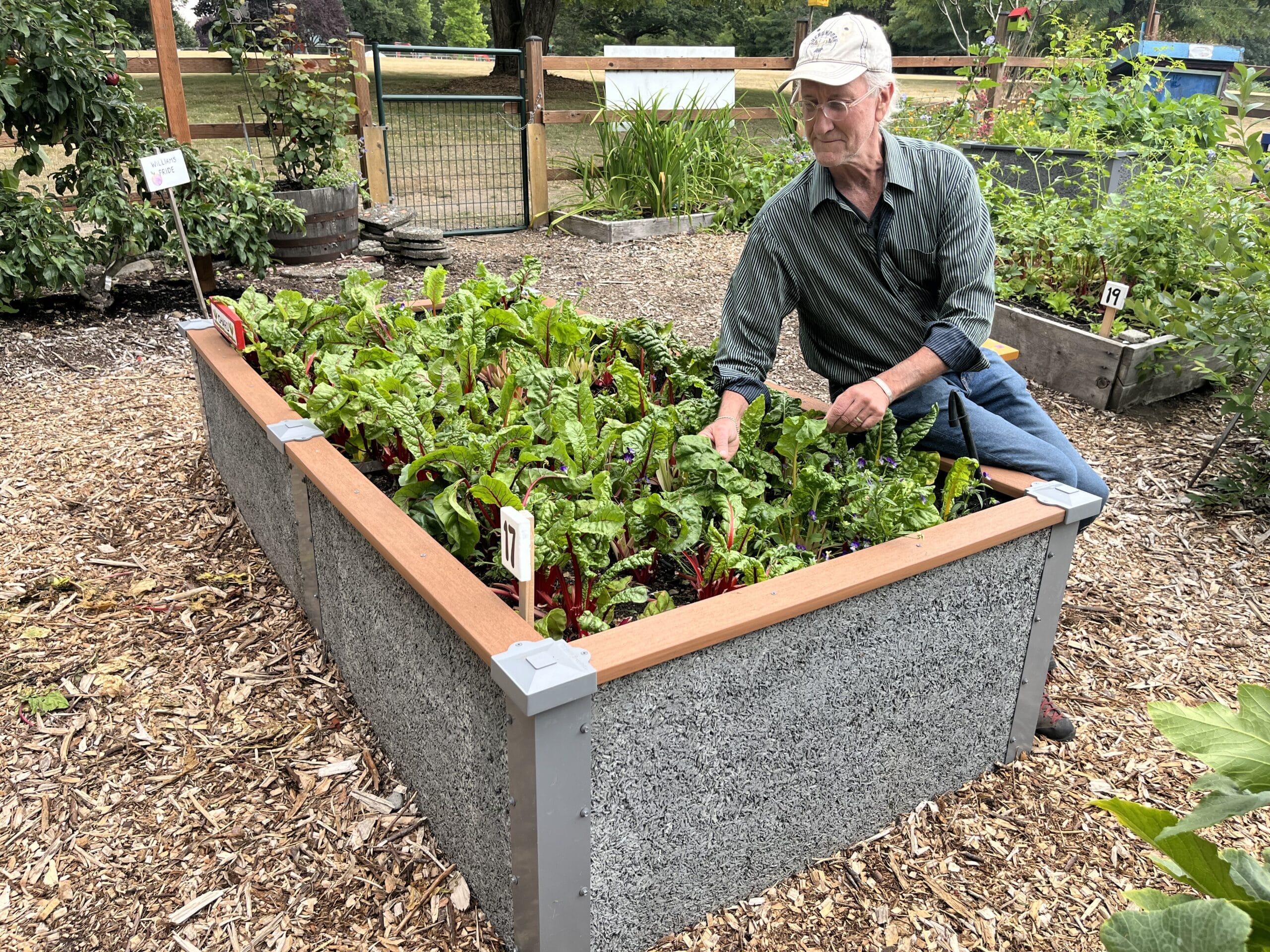 man sitting on a 4x8x2 Durable GreenBed Garden Bed gardening