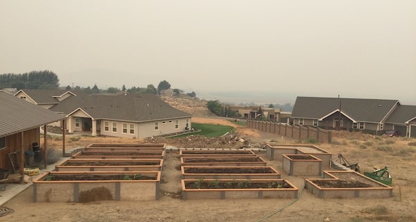 A smoke outdoor scene with garden beds on a hill