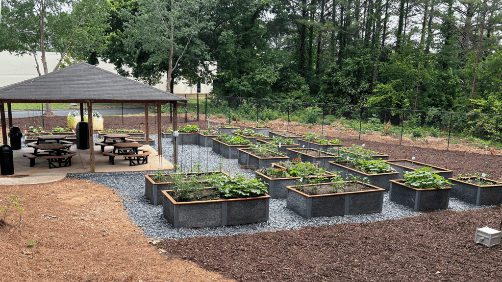 Camas de jardín elevadas del jardín comunitario de Mingledorf