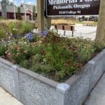 Durable GreenBed garden beds in a community park