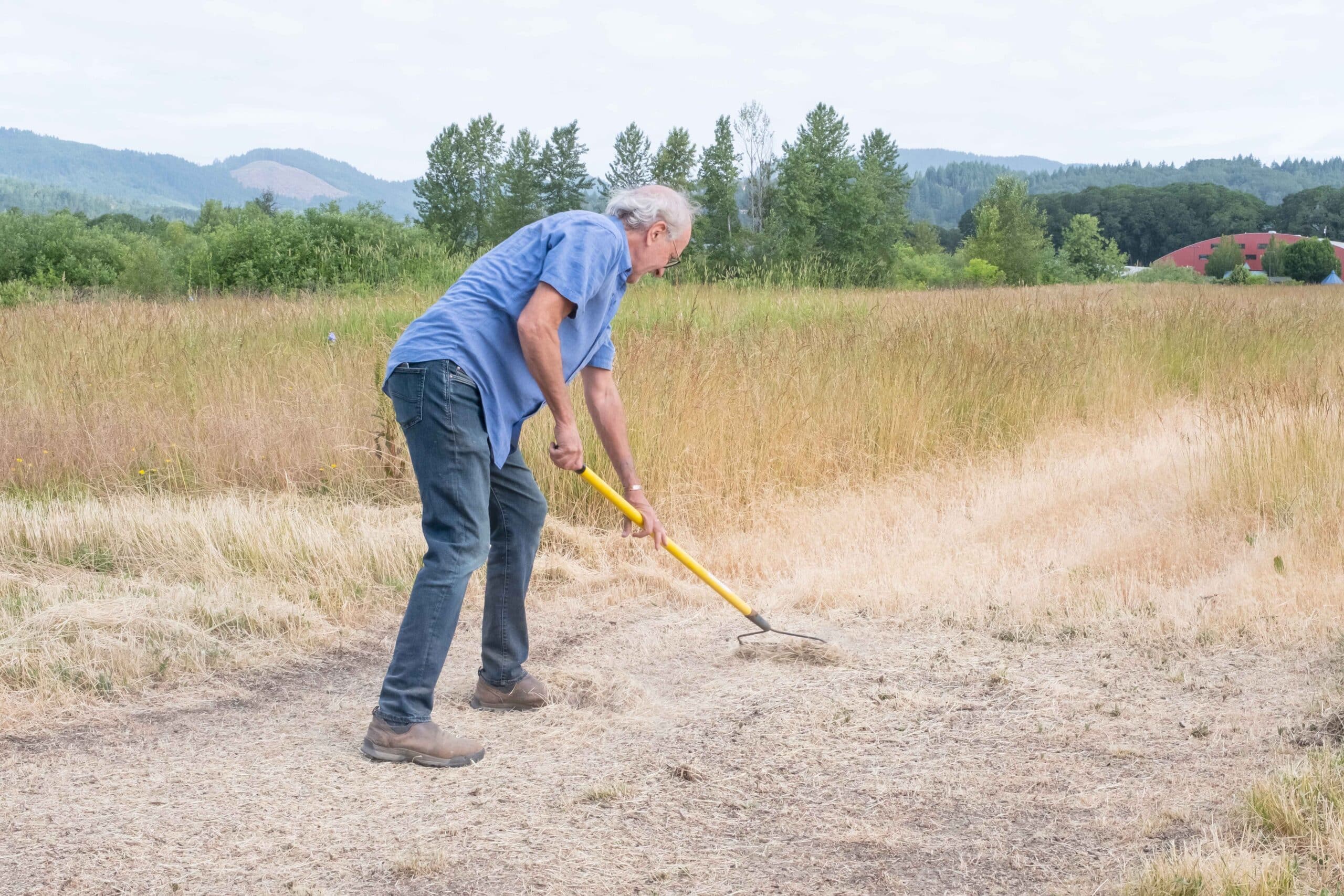 raking to clear ground for bed installation