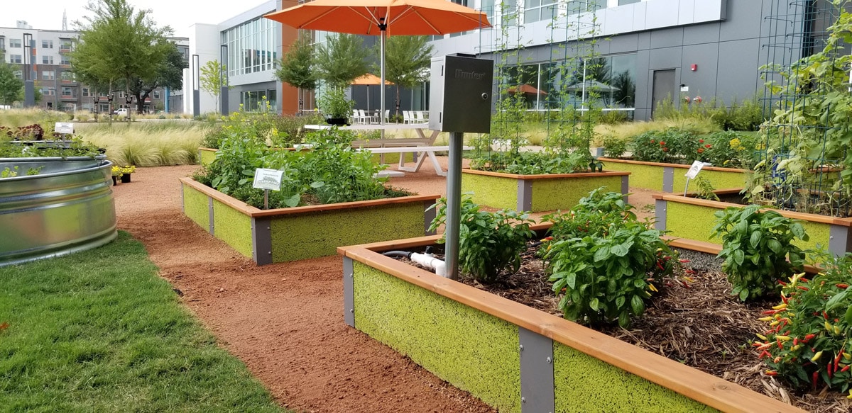 Jardín elevado culinario Jardín urbano de tierra