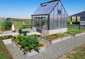 8x4x1 garden with greenhouse