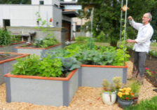 man tending to raised garden beds ourside of a senior center