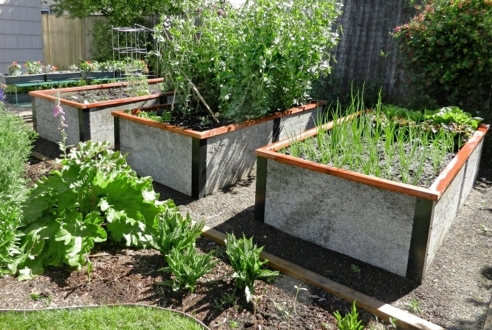 All About Raised-Bed Gardens - This Old House