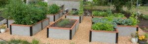 Durable GreenBed Raised Beds