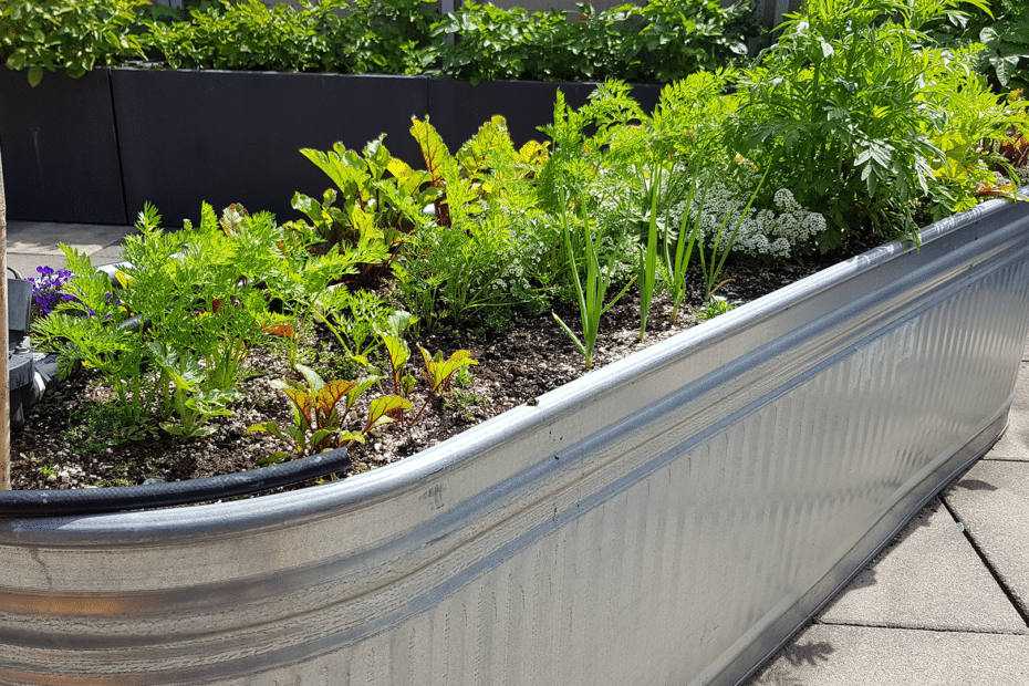 metal corrugated garden bed