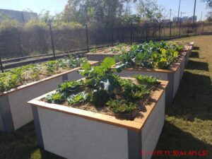 Raised DurableGreenBed Garden Bed Community Garden in Smoke Grey on a Sunny Day