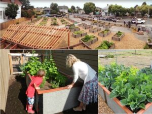 DurableGreenBed Gallery of Raised Garden Bed Kits